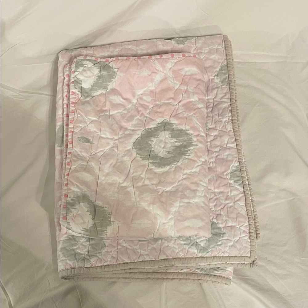 Pottery Barn Kids Claire Ikat Euro Sham and Quilted Pink and Grey Floral Quilt